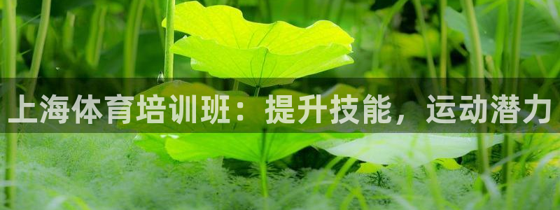 欧陆娱乐平台登陆地址在哪：上海体育培训班：提升技能，