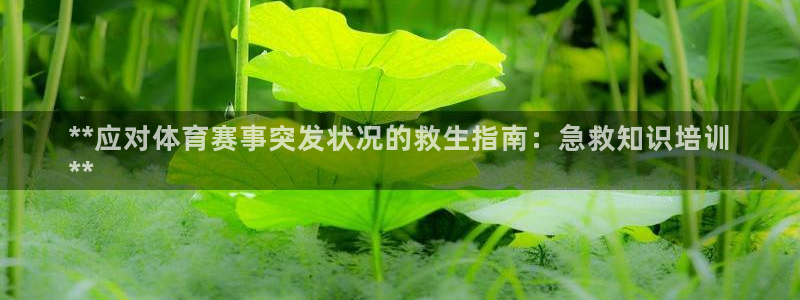 欧陆娱乐平台登陆地址在哪：**应对体育赛事突发状况的