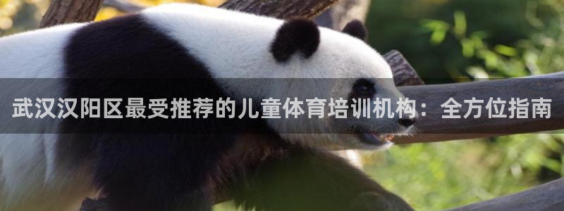 欧陆娱乐测速软件下载：武汉汉阳区最受推荐的儿童体育培