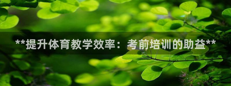 欧陆娱乐公司产品介绍大全：**提升体育教学效率：考前