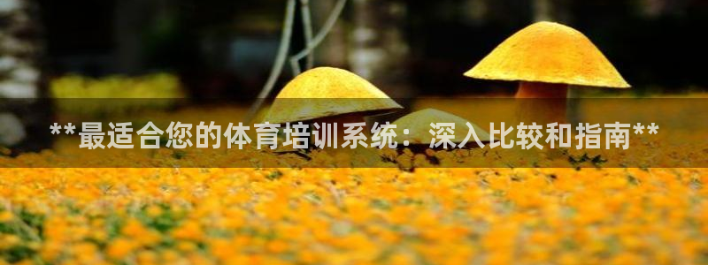 欧陆娱乐挂机怎么玩游戏：**最适合您的体育培训系统：