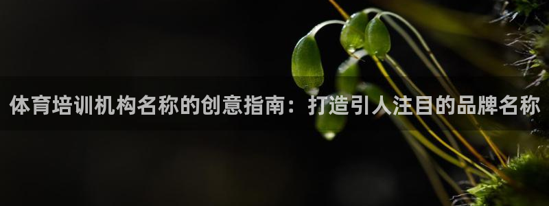 欧陆娱乐平台登录不上去：体育培训机构名称的创意指南：