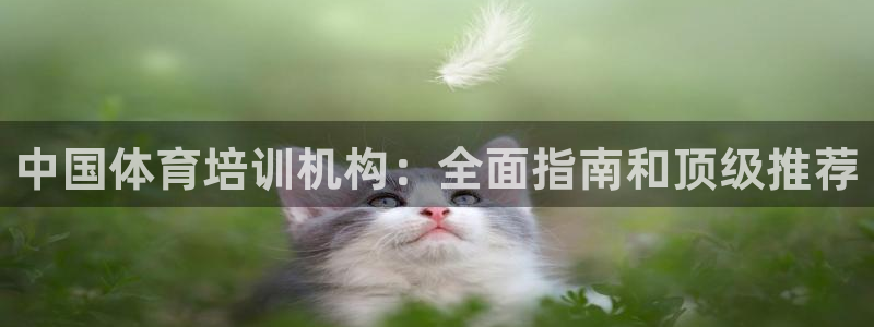 欧陆娱乐平台登陆地址在哪看