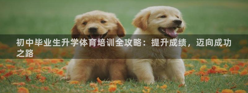 欧陆娱乐测速软件下载