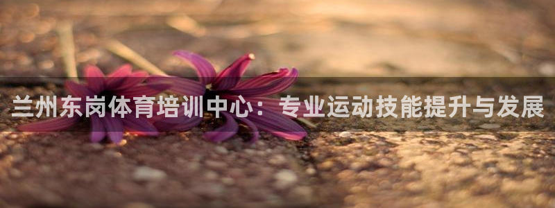 欧陆娱乐是正规平台吗安全吗可靠吗：兰州东岗体育培训中