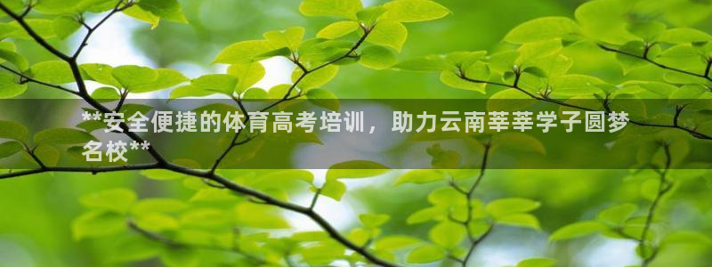 欧陆娱乐突然登录不了了：**安全便捷的体育高考培训，