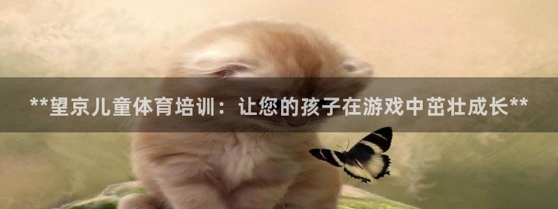 欧陆娱乐信誉如何：**望京儿童体育培训：让您的孩子在