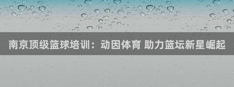 欧陆娱乐测速软件下载：南京顶级篮球培训：动因体育 助
